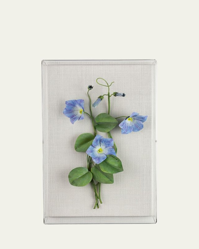 Morning Glory September Birth Flower Wall Art